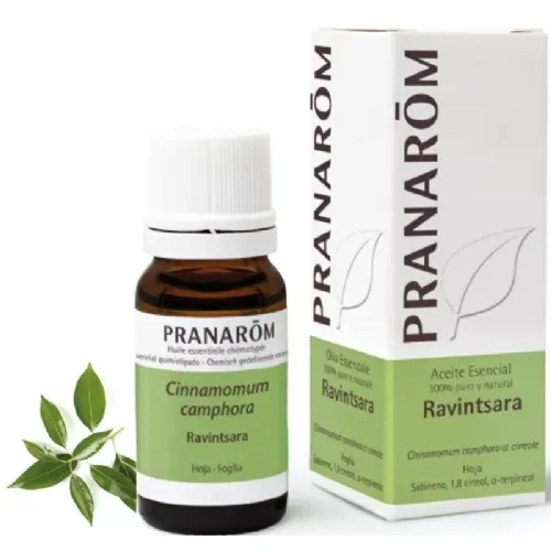 Aceite esencial ravintsara (1 envase 10 ml)