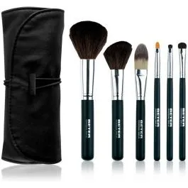 Beter Kit Profesional Brochas