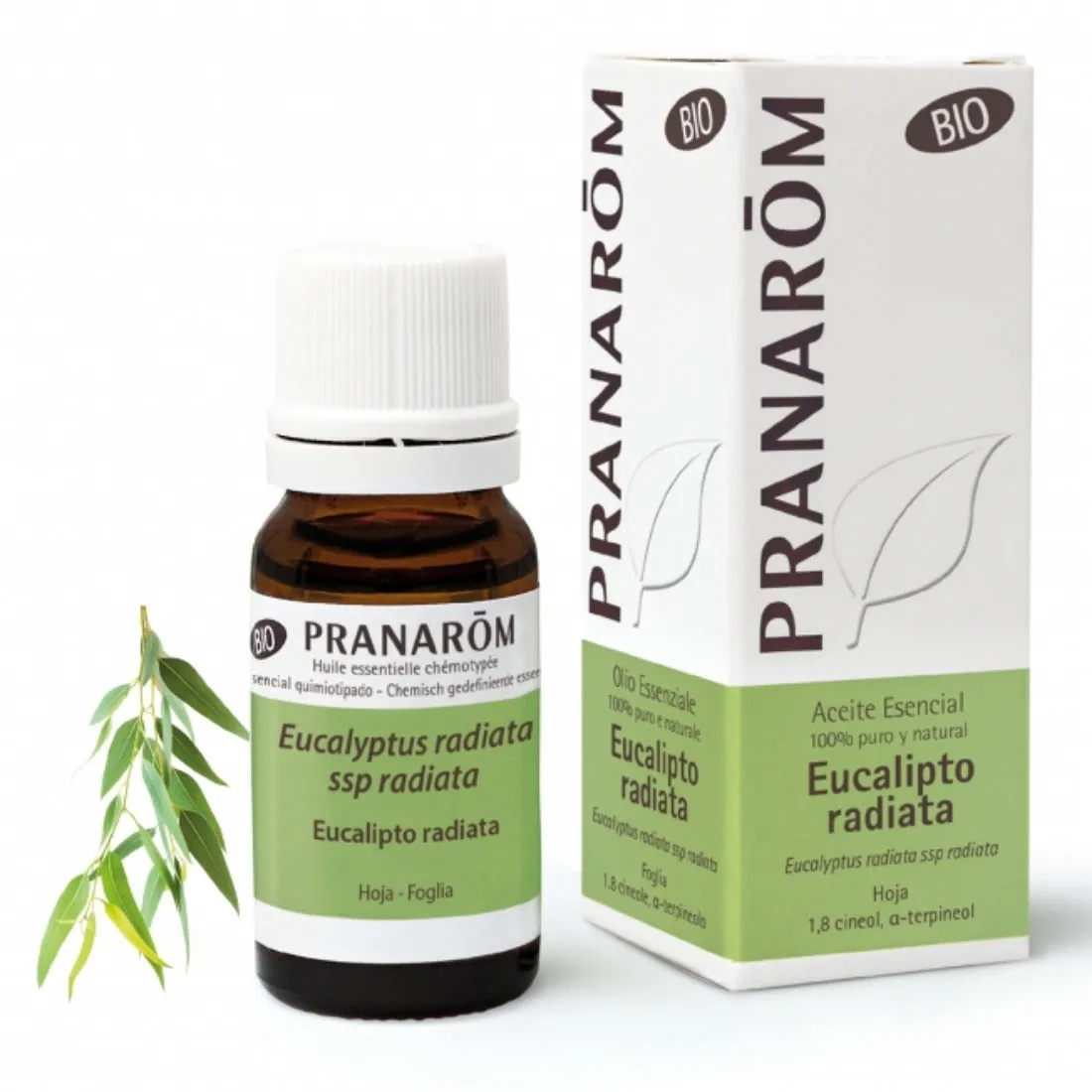 Pranarom Aceite Esencial Eucalipto radiata 10mL