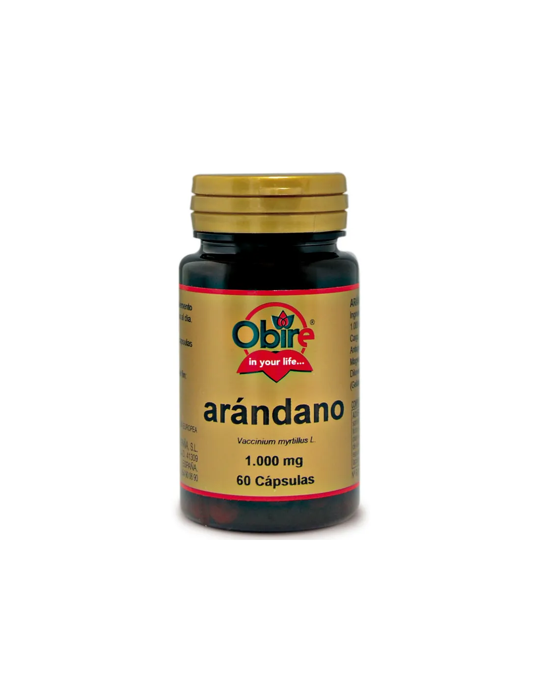 Arandano 60Cap. de Obire