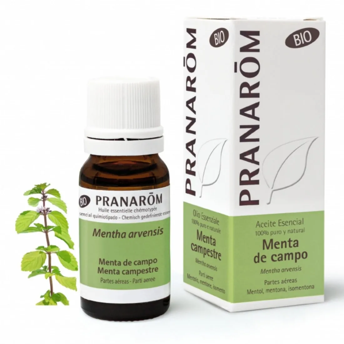 Pranarom Aceite Esencial Menta de campo 10mL