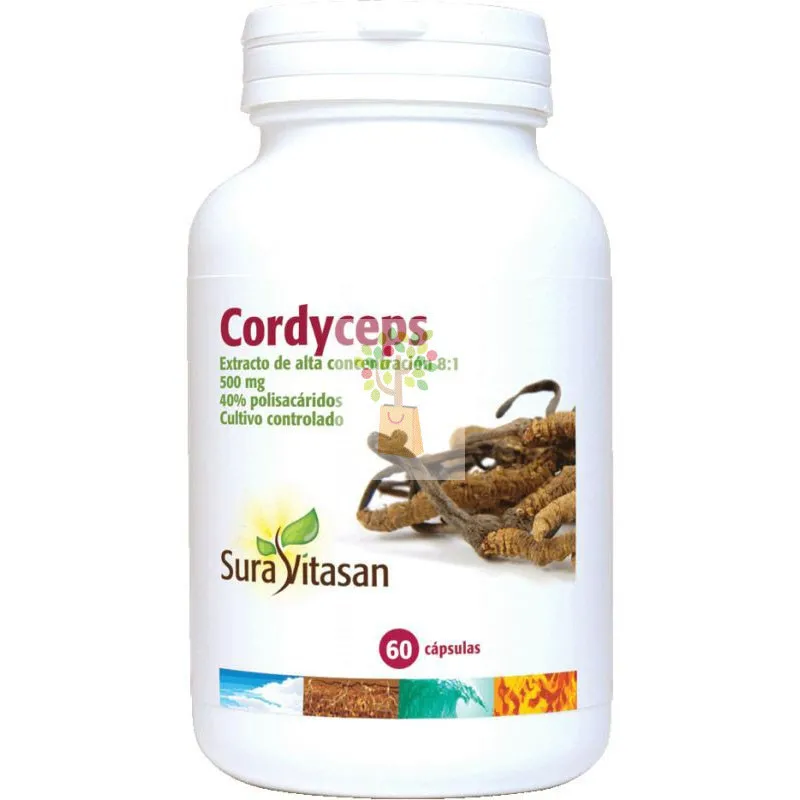 CORDYCEPS 500Mg. 60 CAPSULAS SURA VITASAN