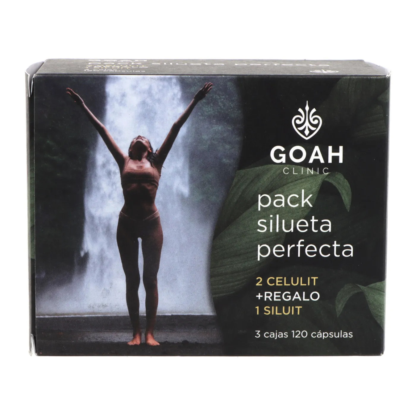 Goah Clinic Silueta Perfecta 2 Celulit 1 Siluit1