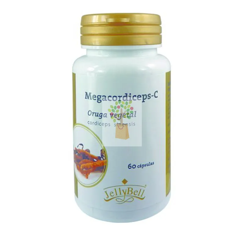 MEGACORDICEPS-C 60 CAPSULAS JELLYBELL